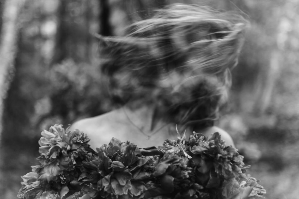 Monochromatic close-up of wild ferns and foliage creating an ethereal pattern in soft focus.