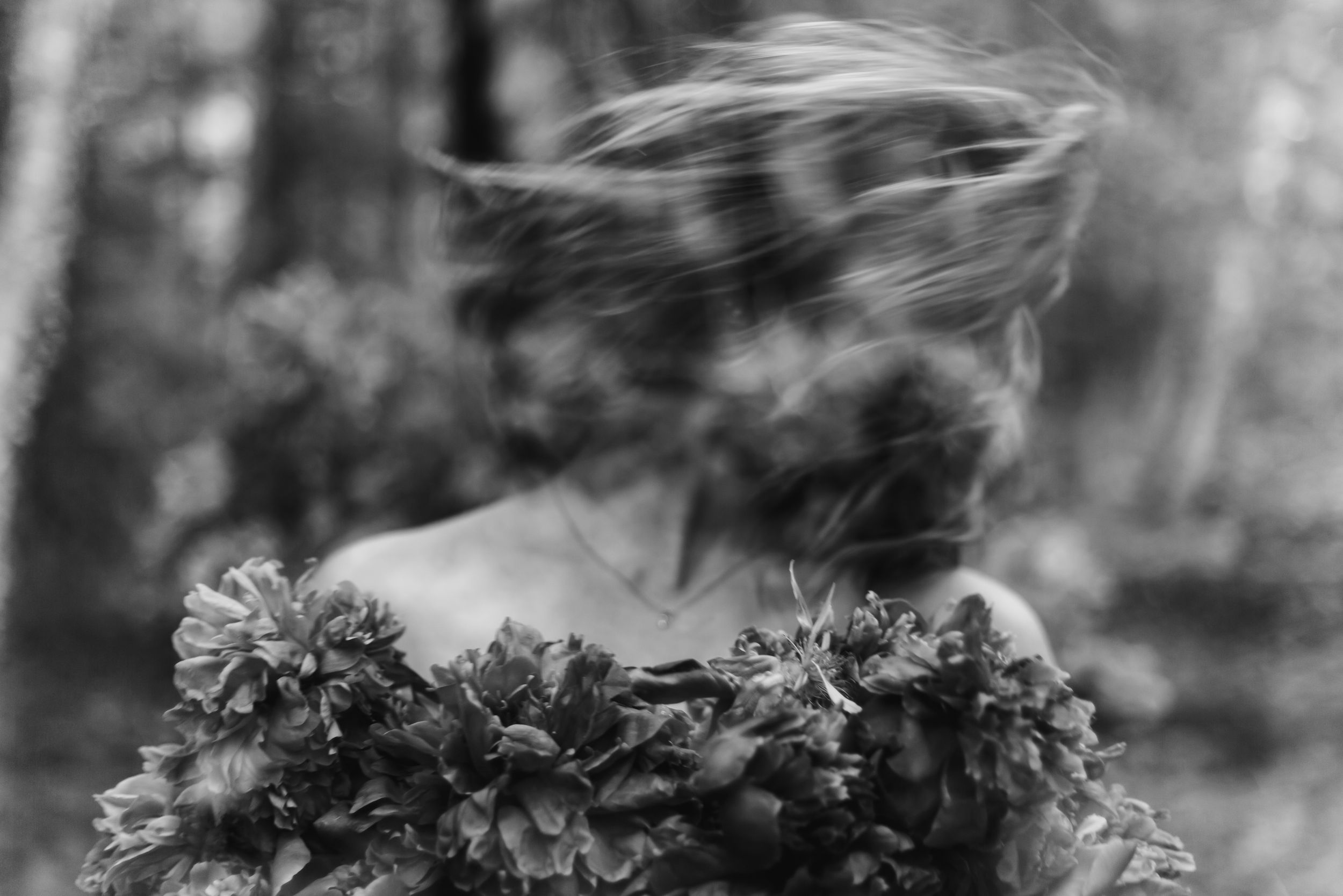 Monochromatic close-up of wild ferns and foliage creating an ethereal pattern in soft focus.
