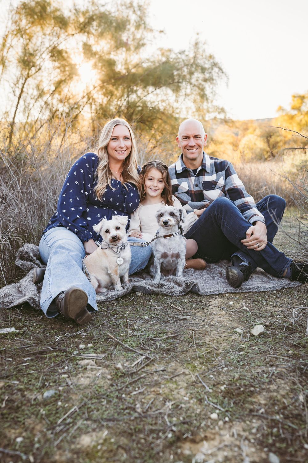 Family and their small dogs relaxing together outdoors during golden hour in a natural setting.