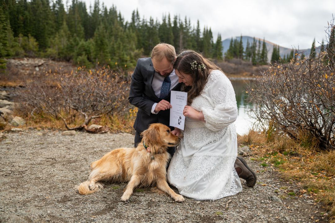 An eloping couple show their yellow dog the marriage license. They are kneeling with their dog in front by an alpine lake and pine trees.