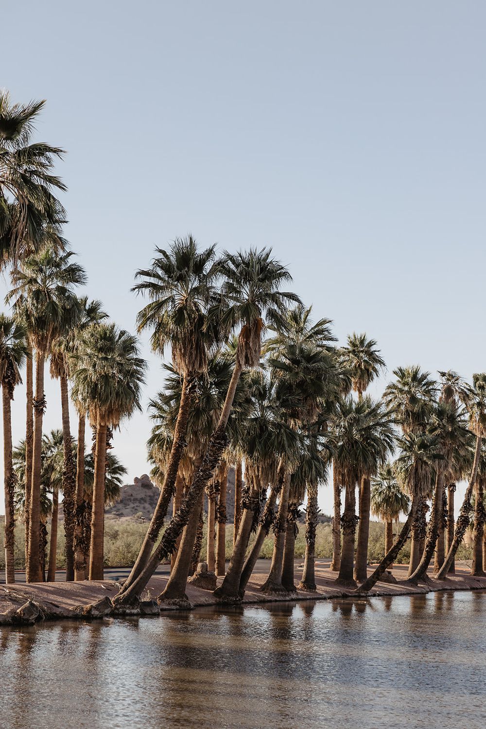 Tall palm trees reflecting in calm desert water under a clear blue sky in an arid landscape.
