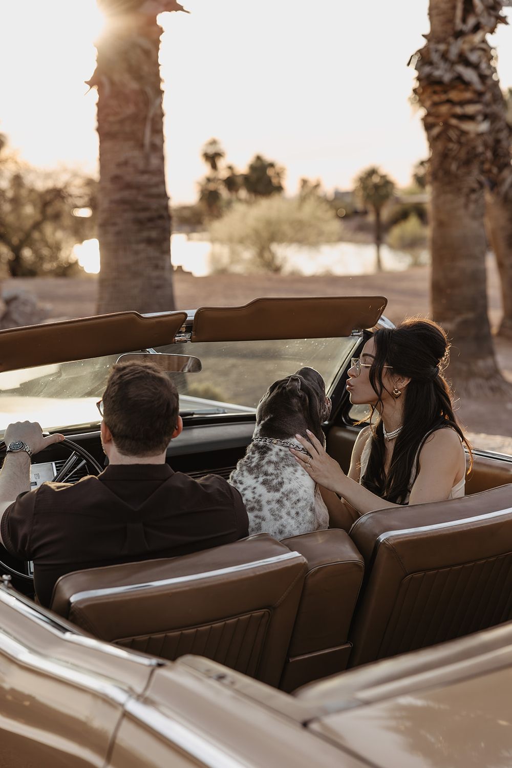 Couple with dog enjoying a sunset drive in a vintage convertible car surrounded by palm trees.