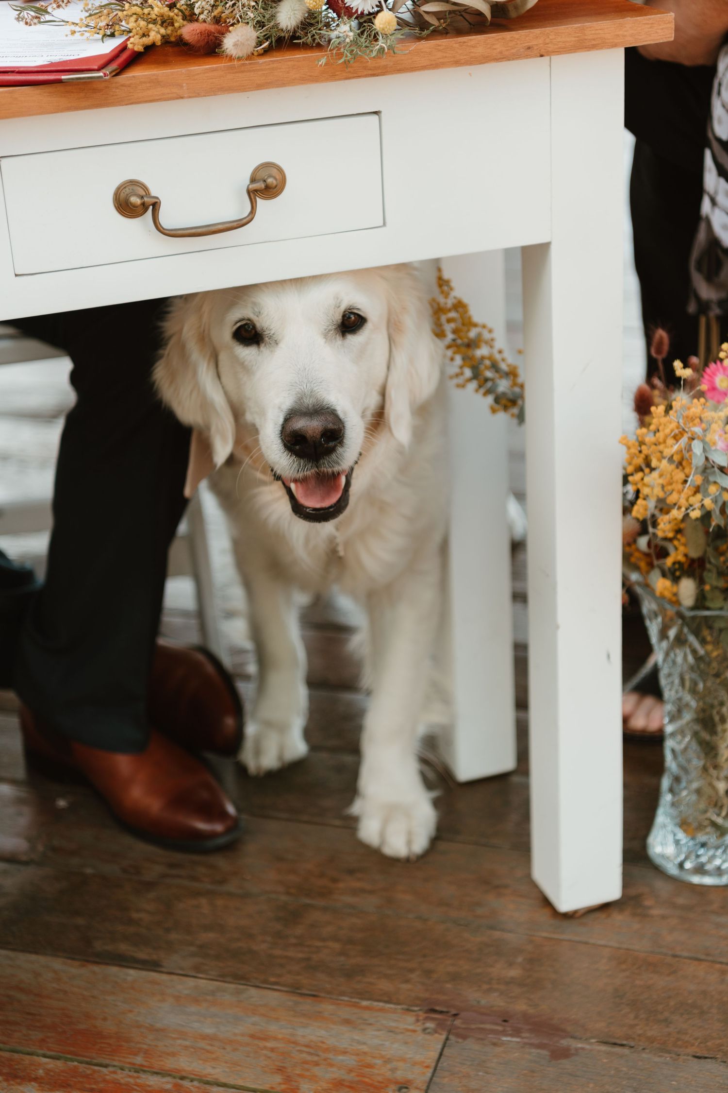 A golden retriever puppy peeks out from under a white wooden table decorated with dried flowers at a wedding.