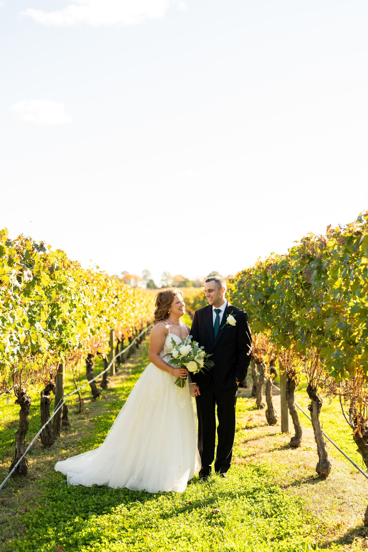 Wedding couple poses in sunlit vineyard wearing formal attire.