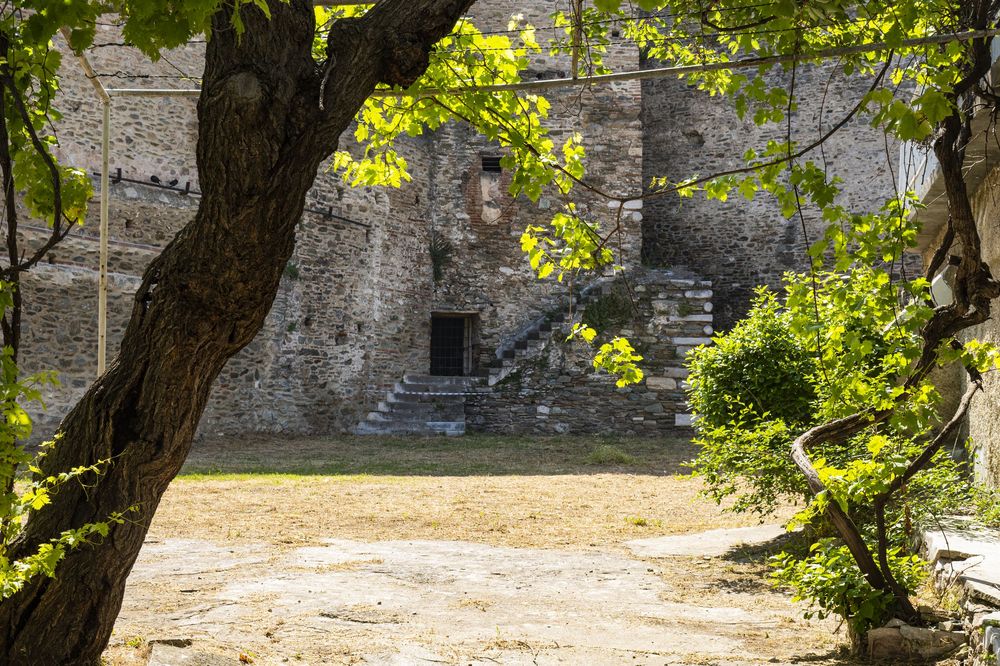 Ancient stone castle entrance with stone staircase framed by green tree branches in sunlight.