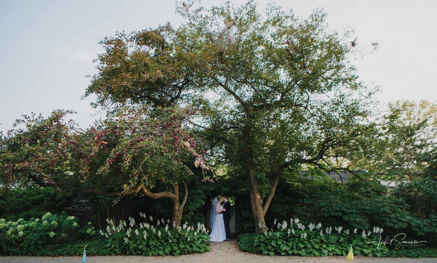 Wedding party poses in a grassy field with dramatic blue smoke bombs creating an ethereal atmosphere at sunset.