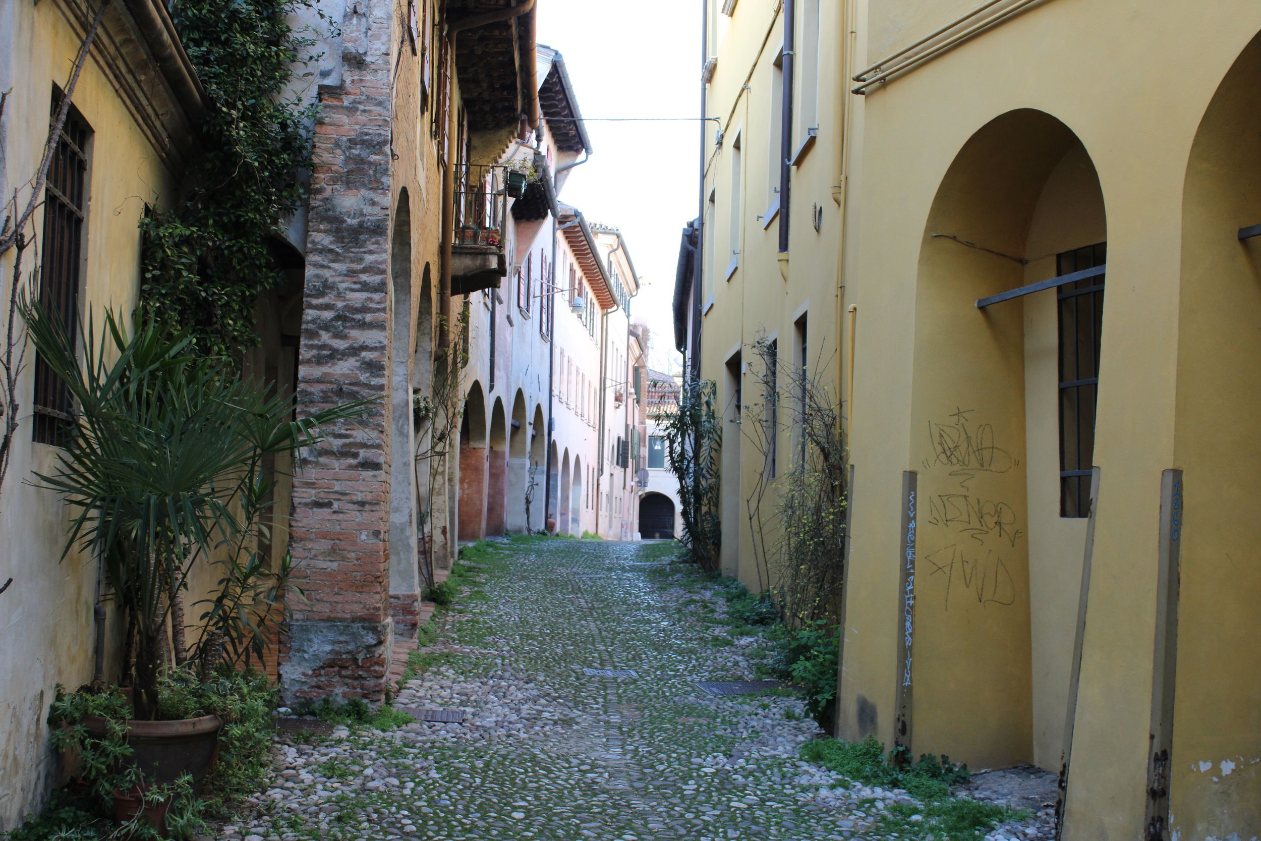 “Treviso in Color” guided tour