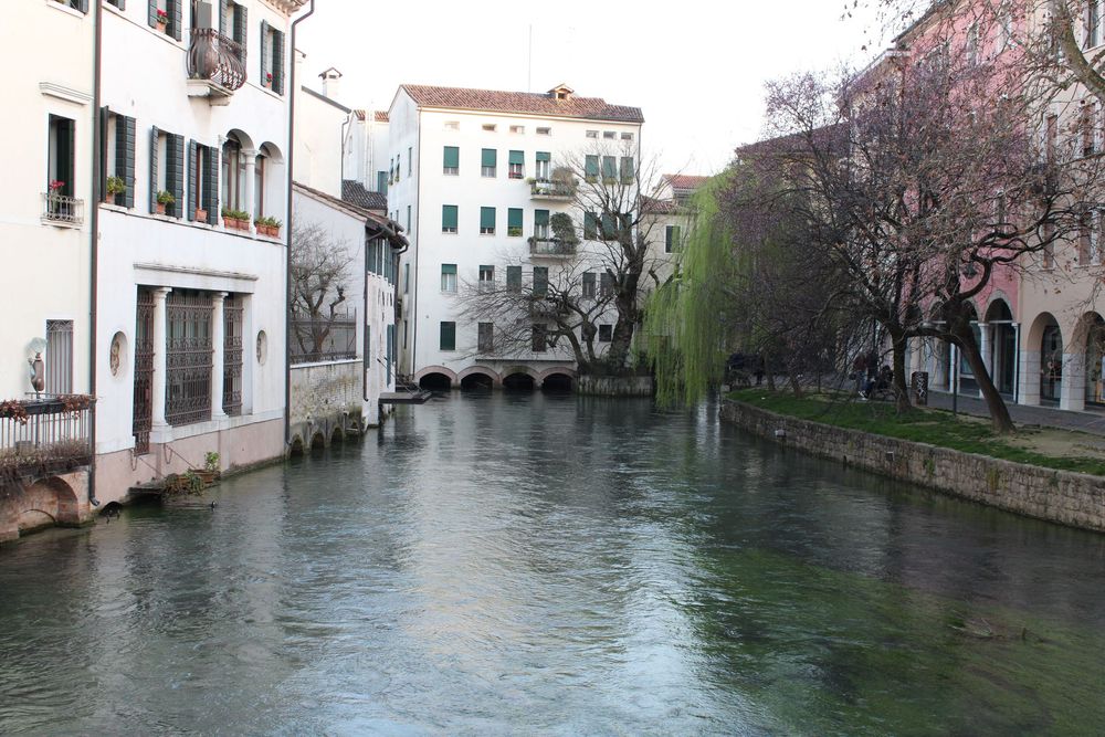 “Treviso in Color” guided tour