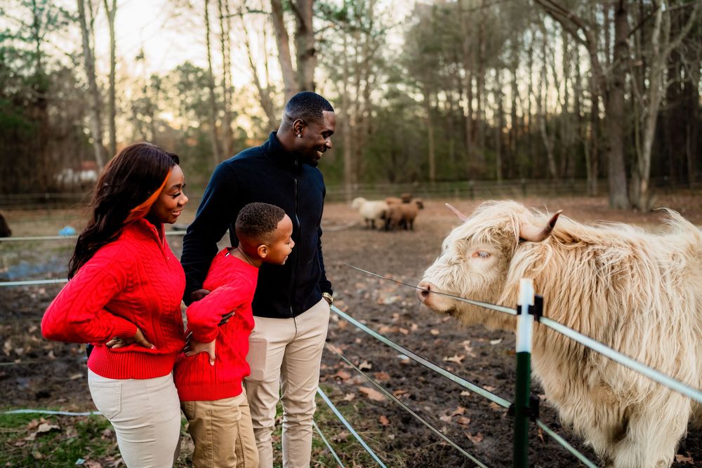 A joyful Black family smiles at a white goat at a petting zoo, surrounded by trees and farm animals.