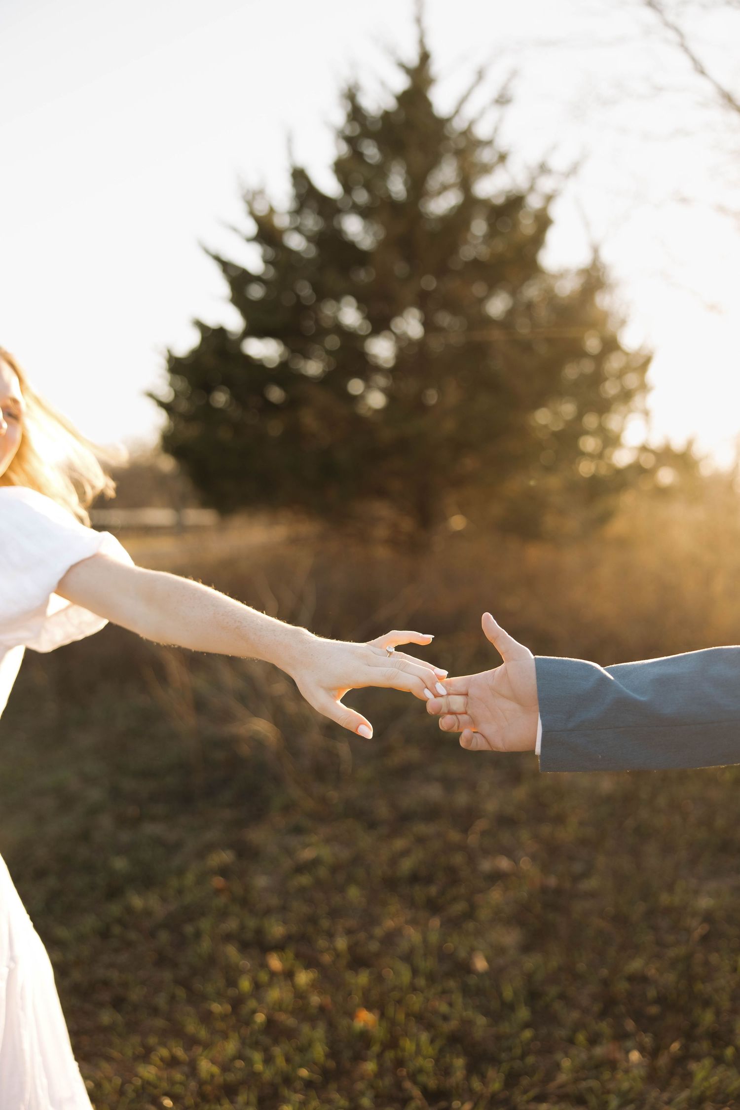 Two hands reach towards each other against a golden sunset with evergreen trees in the background.