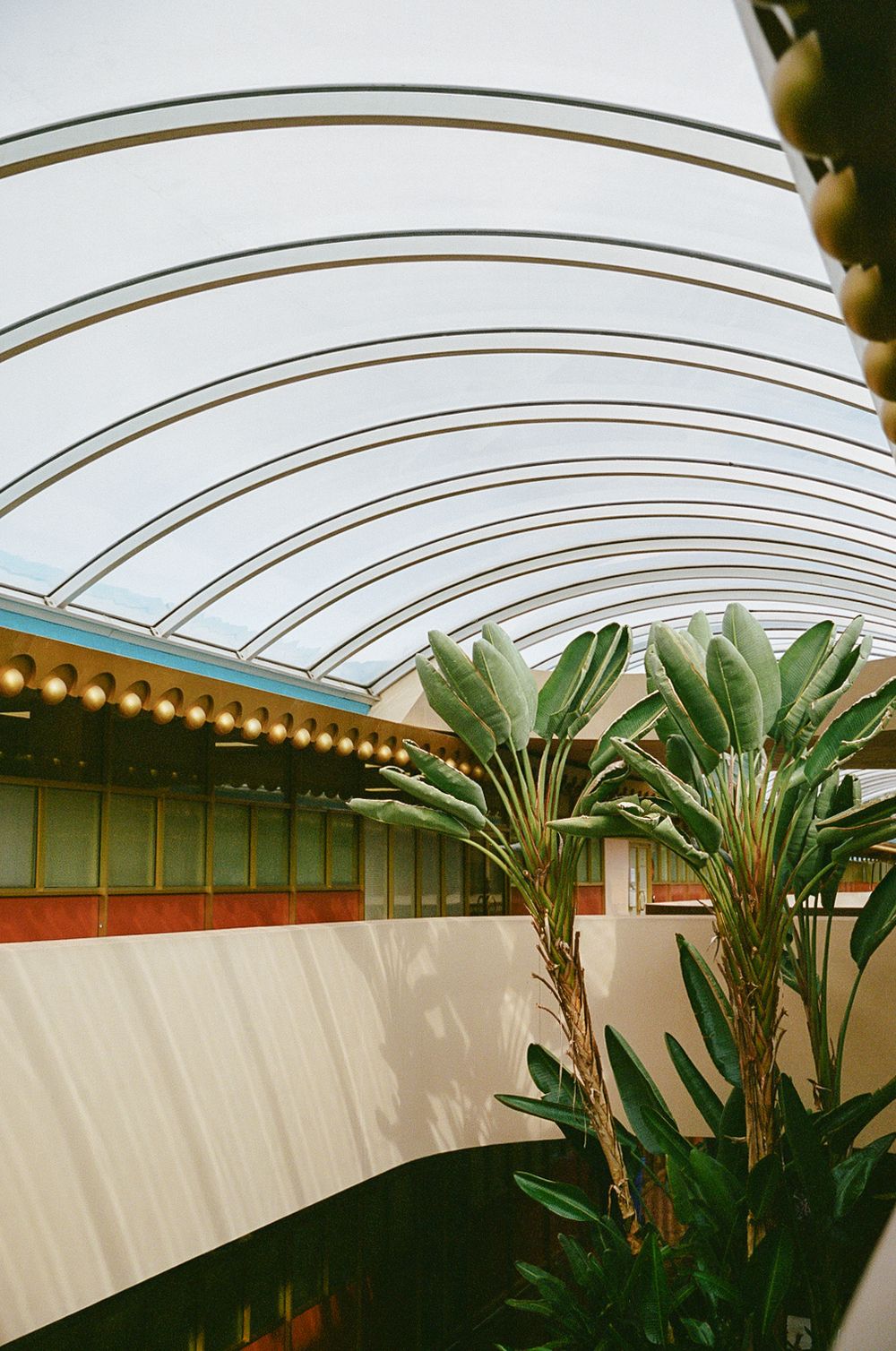 A curved translucent roof with palm trees and decorative lighting creates a modern greenhouse atmosphere.