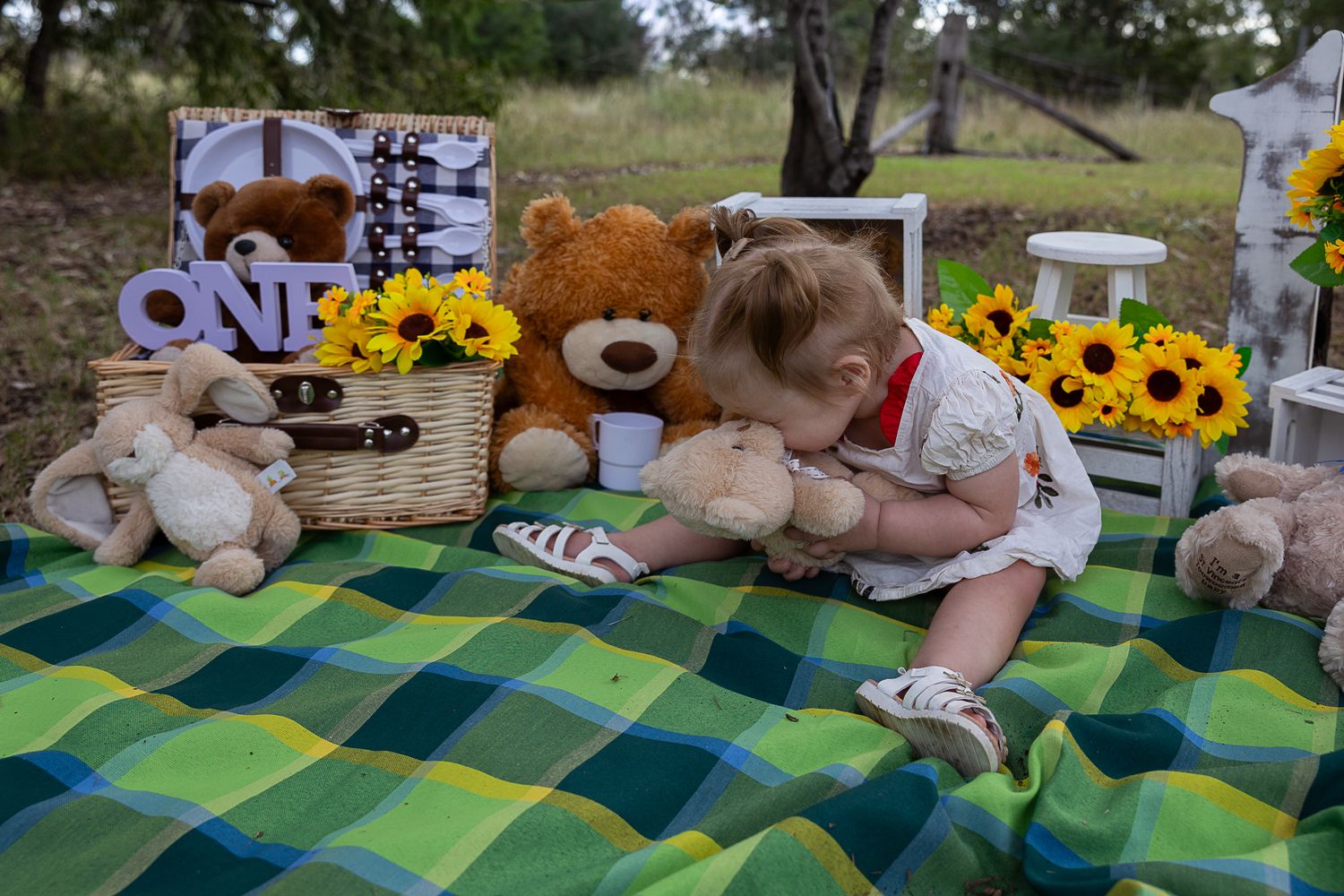 Girl cuddling teddy at teddy bear's picnic cake smash professional photo shoot
