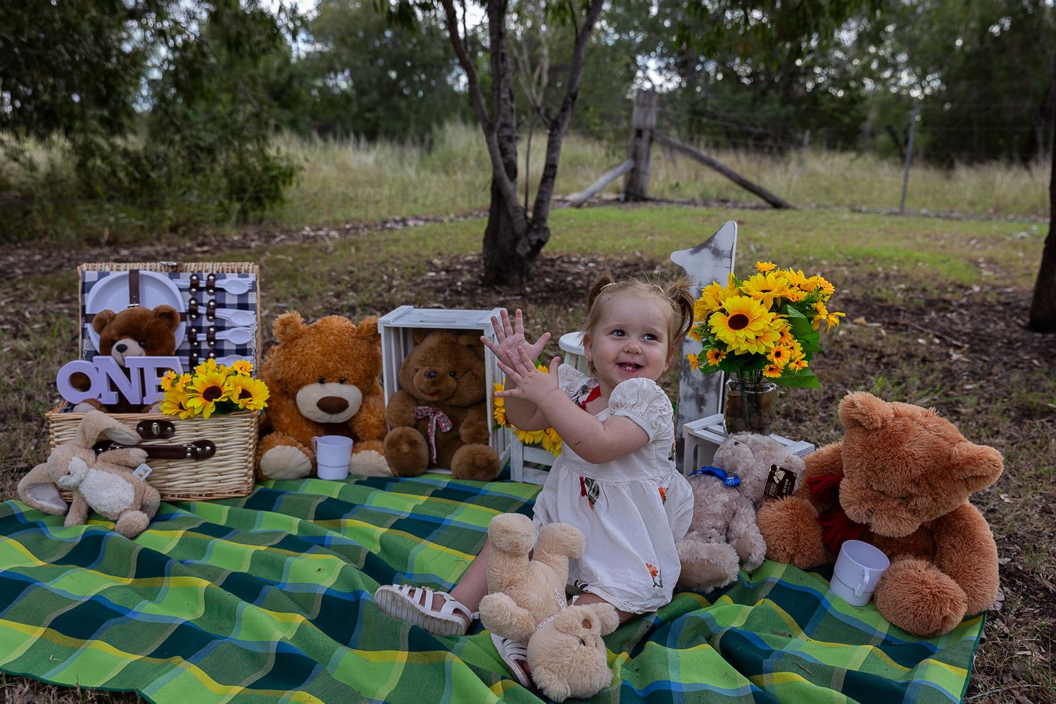 Girl clapping hands at teddy bear's picnic cake smash professional photo shoot
