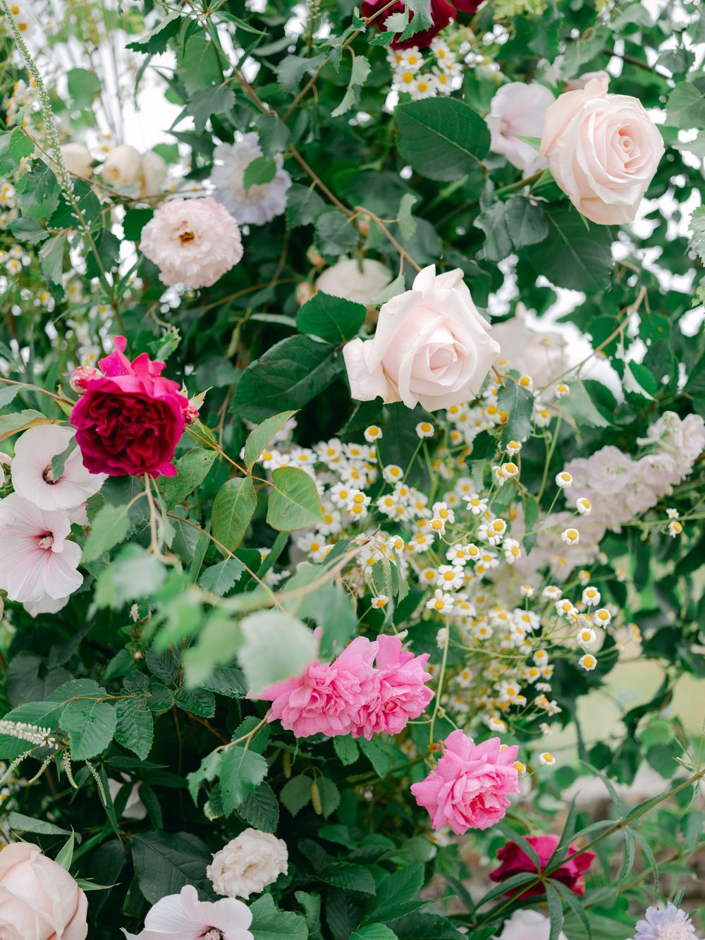Lush floral arrangement featuring blush, pink, and red roses with white daisies and green foliage for a wedding backdrop.