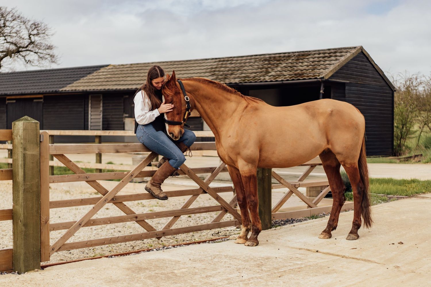 Woman sitting on wooden fence petting a chestnut horse outside a rural stable on a sunny day. Essex Equine Photographer.
