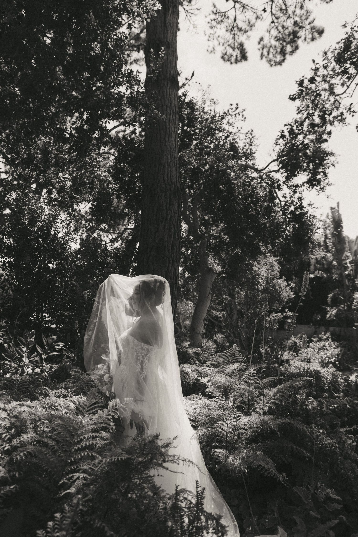 Biddlestone Cottage Carmel wedding
