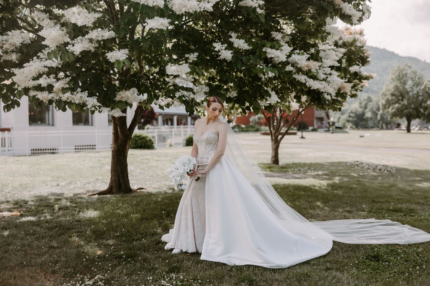 Bride in elegant white ball gown with long train standing under blooming tree in scenic outdoor setting.