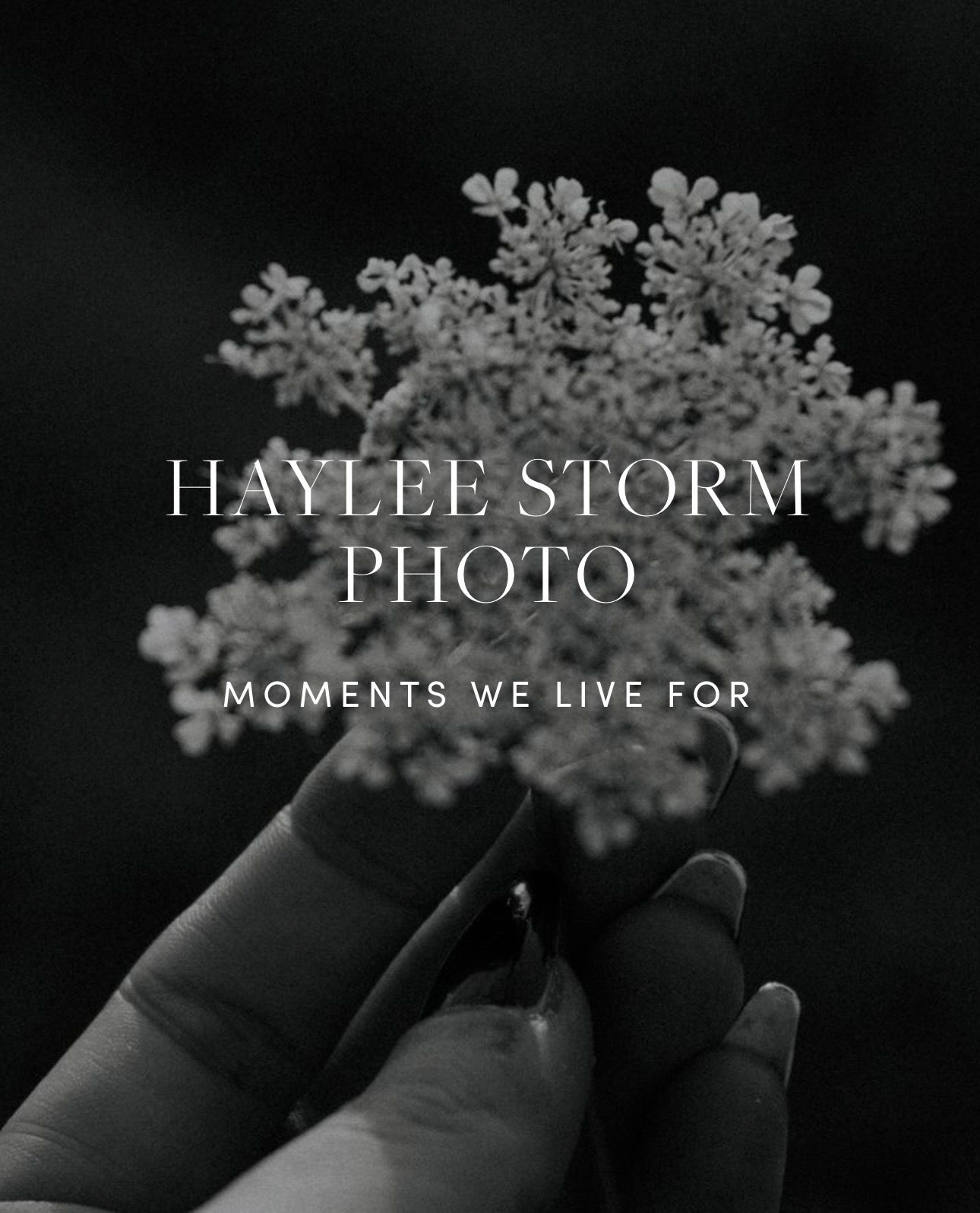 Black and white photo of a hand holding a delicate flower with Haylee Storm Photo branding overlay.