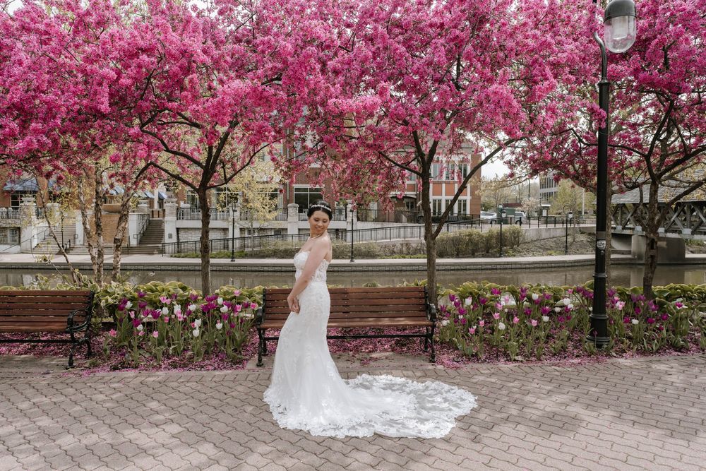 A bride stands beneath vibrant pink cherry blossom trees along a brick pathway with a flowing white gown trailing behind.