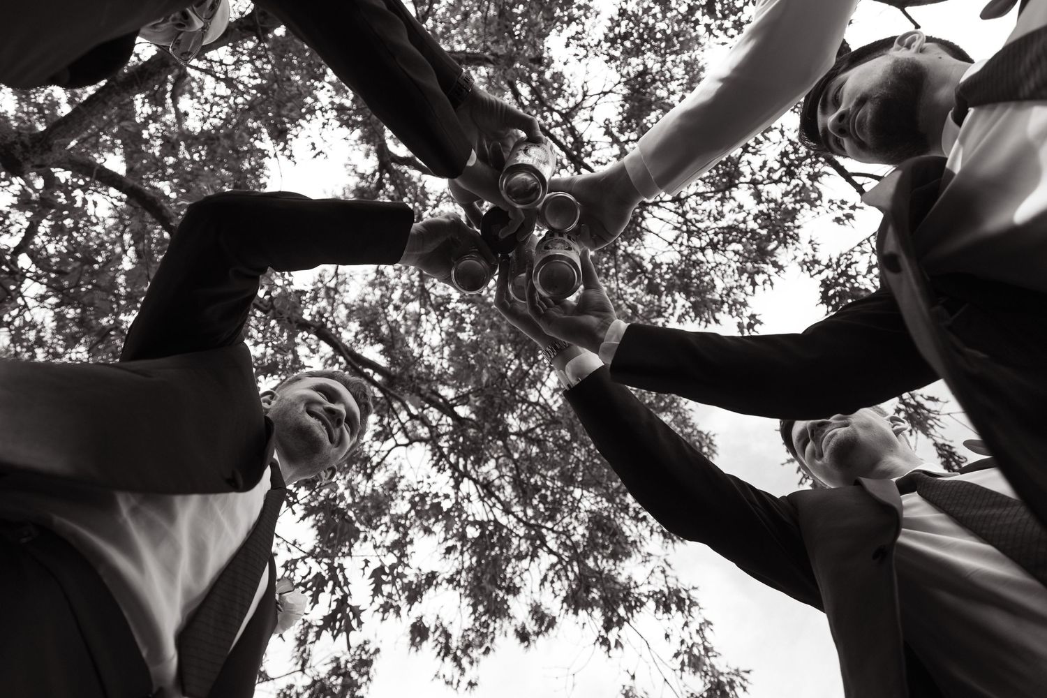 Low angle black and white view of people clinking wine glasses in celebration under tree branches.