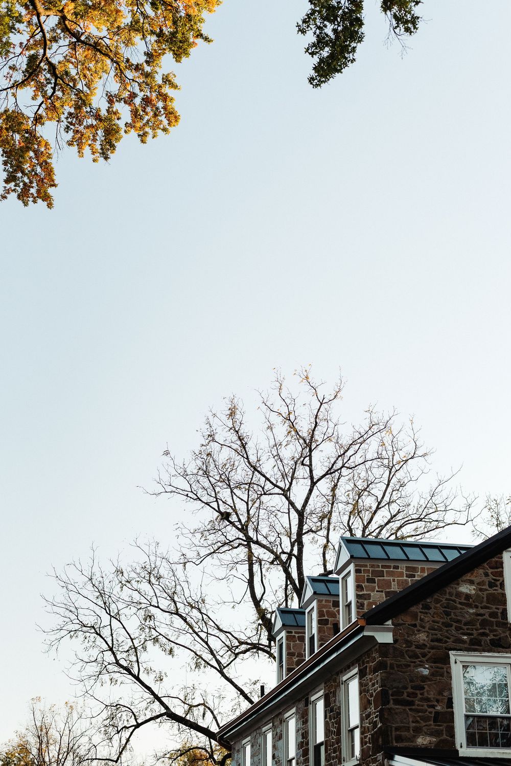 Autumn leaves and bare tree branches frame a stone house with dormer windows against a pale sky.