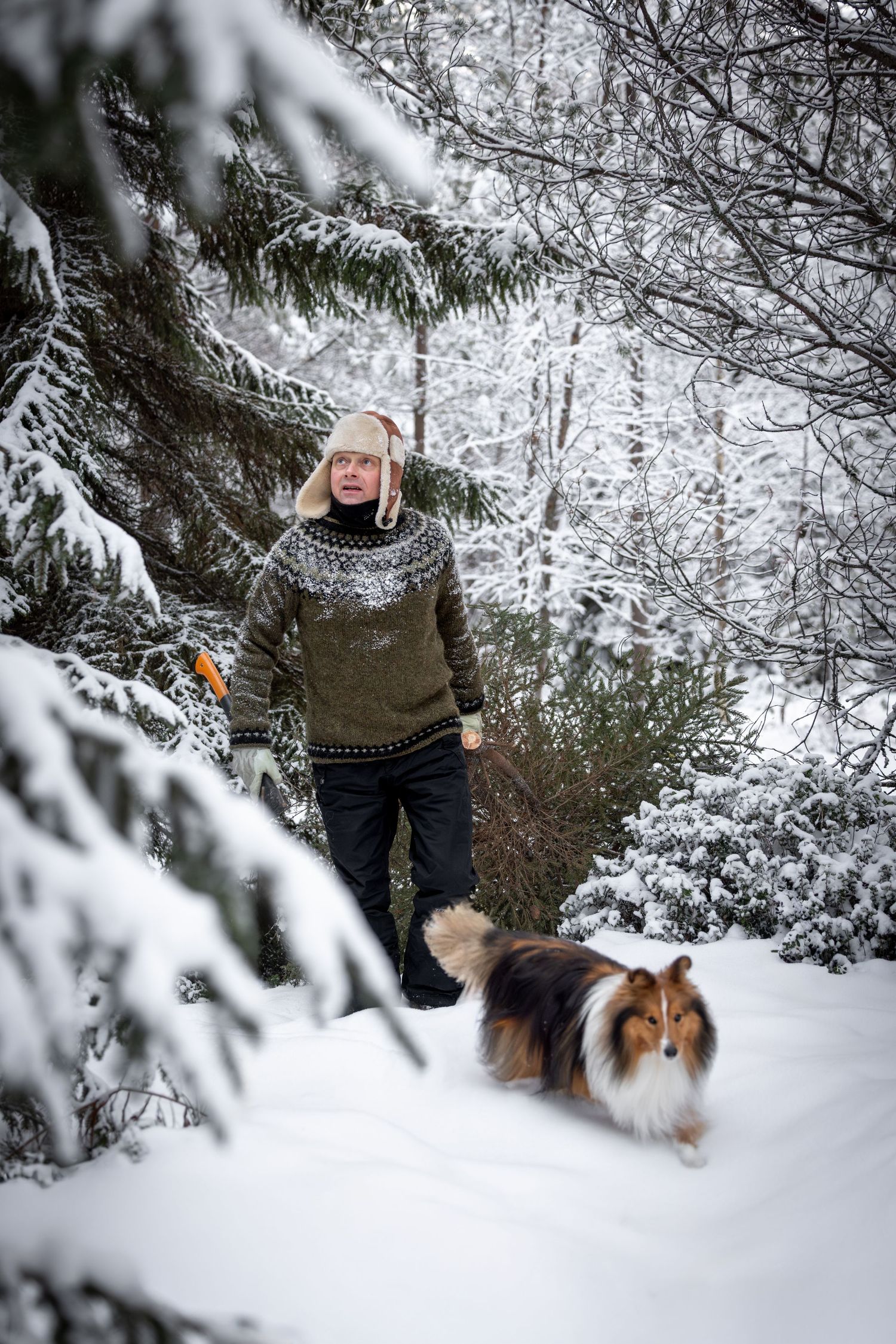 A person in a winter sweater walks with a Shetland Sheepdog through a snowy forest landscape.