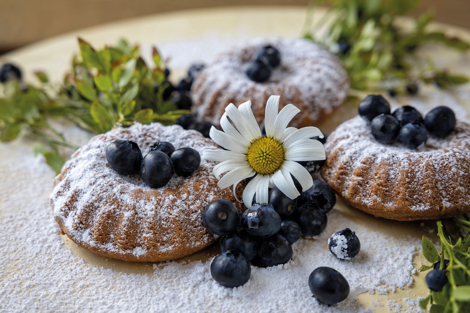 Mini bundt cakes dusted with powdered sugar, topped with fresh blueberries and a daisy flower on a rustic plate.