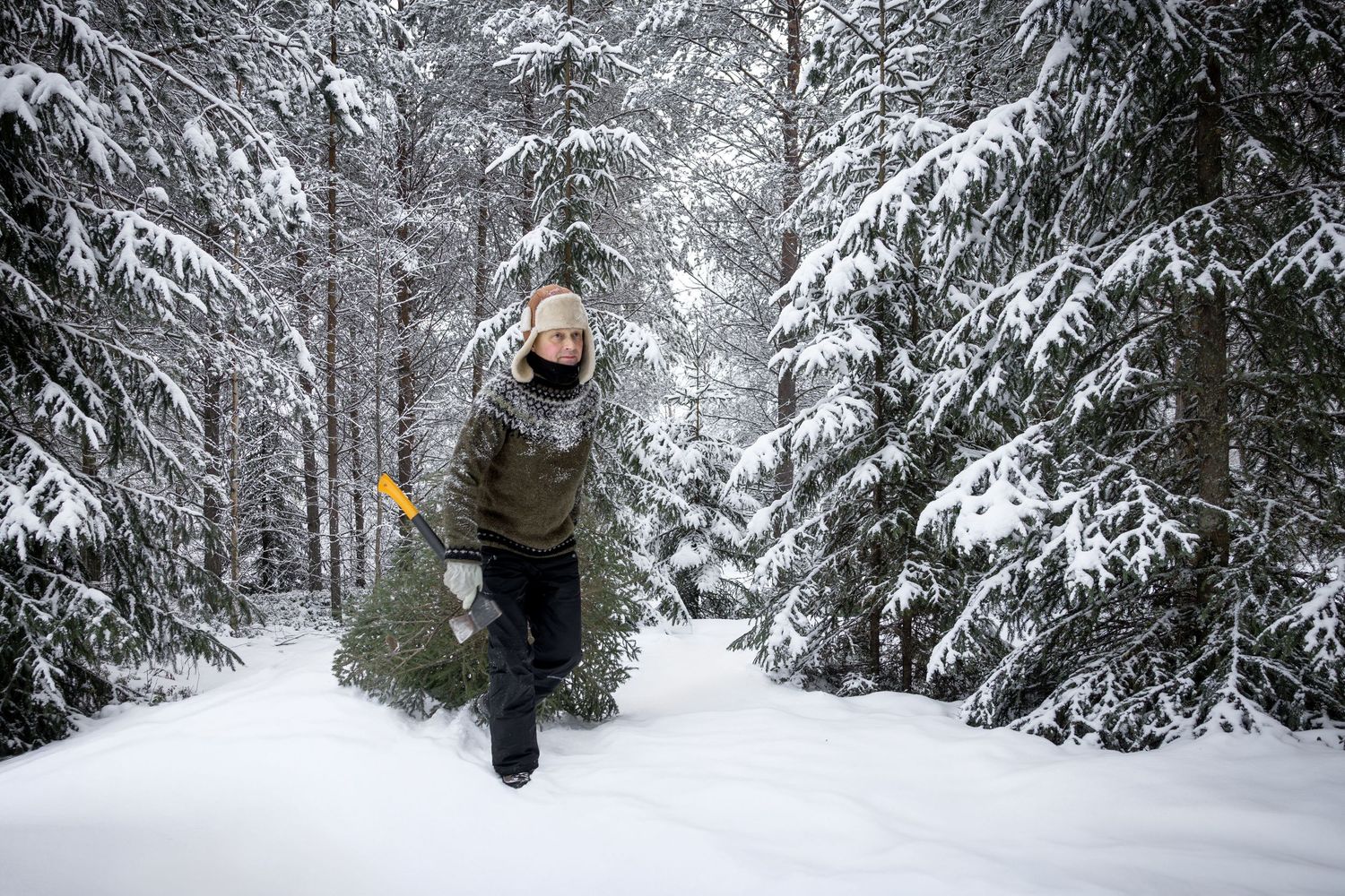 A sequence of action shots shows someone performing a backflip in a snowy winter forest landscape.