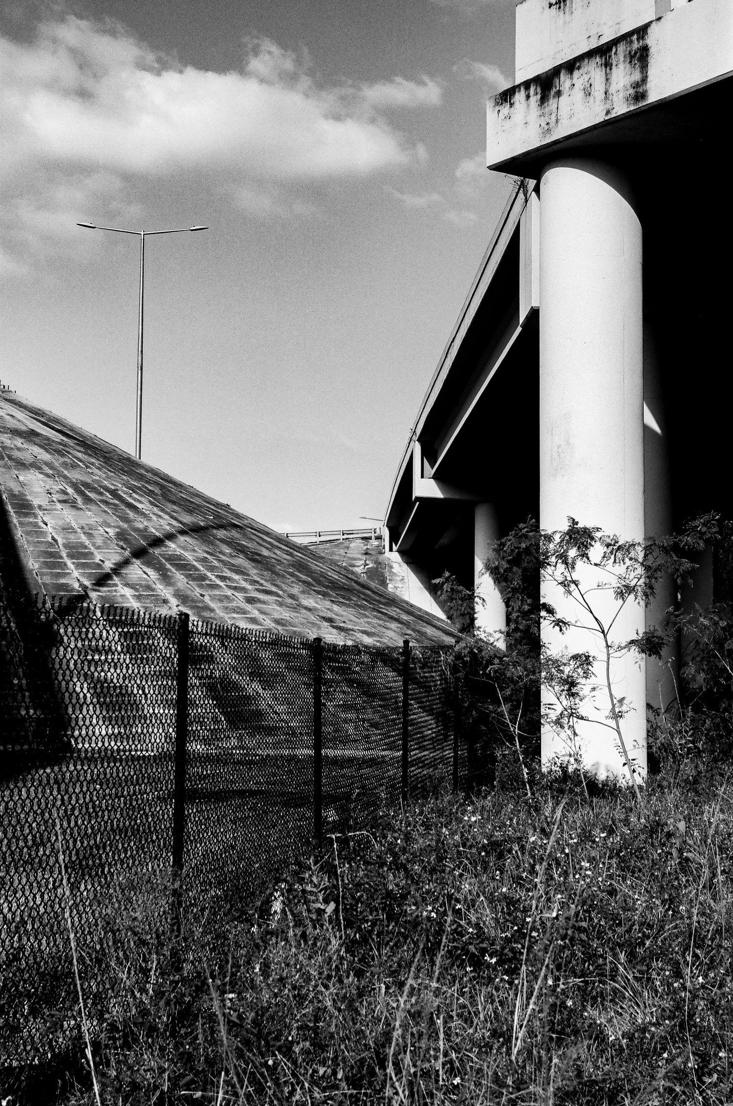 Black and white photo of concrete highway overpass pillars rising through tall grass against a cloudy sky.