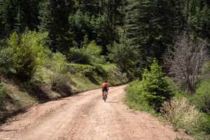 Cyclist pedals along winding dirt road through green mountain valley.
