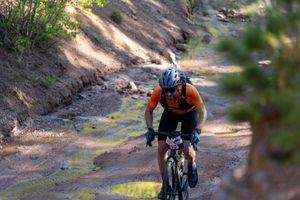 Mountain bikers traverse a winding dirt path surrounded by dense greenery and forest terrain.