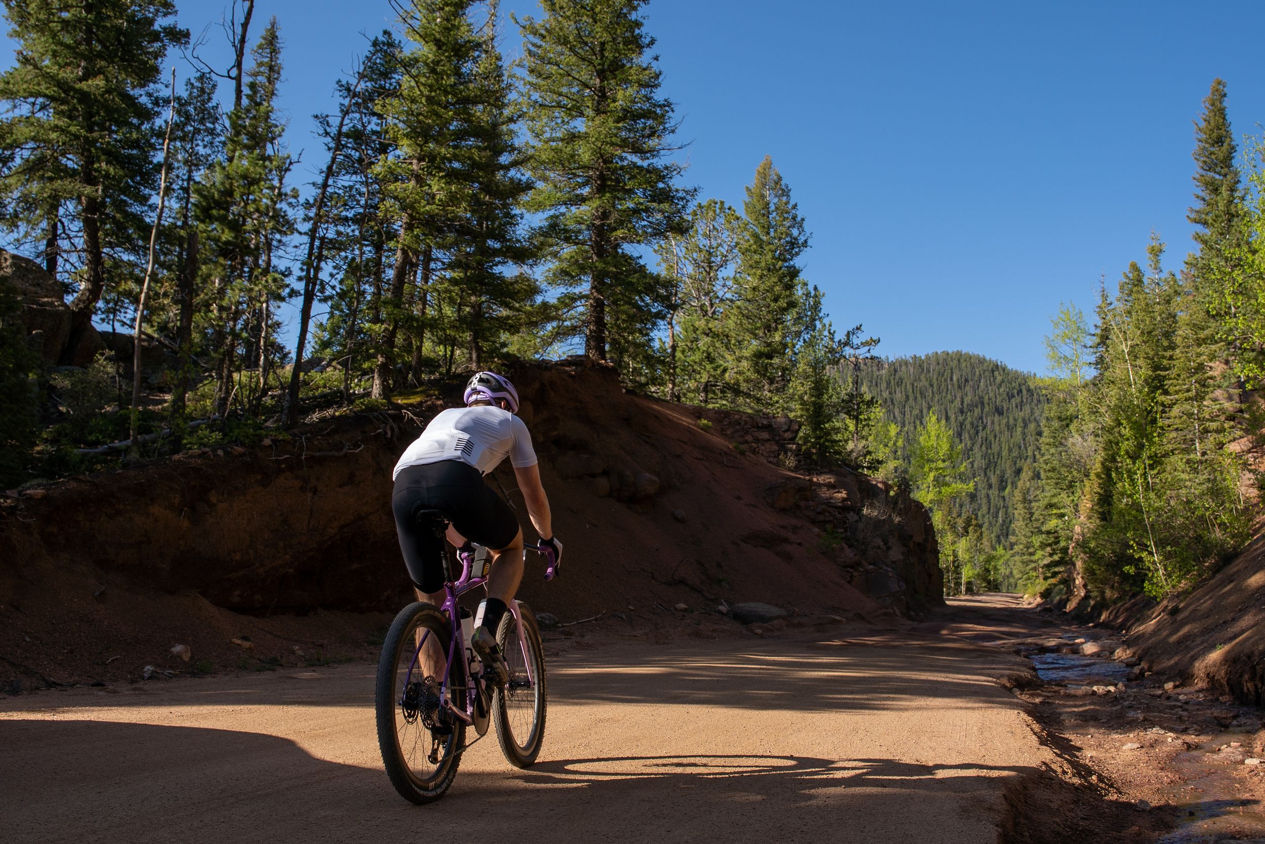 Mountain biker rides on dirt trail through evergreen forest on sunny day with blue skies in mountain landscape.
