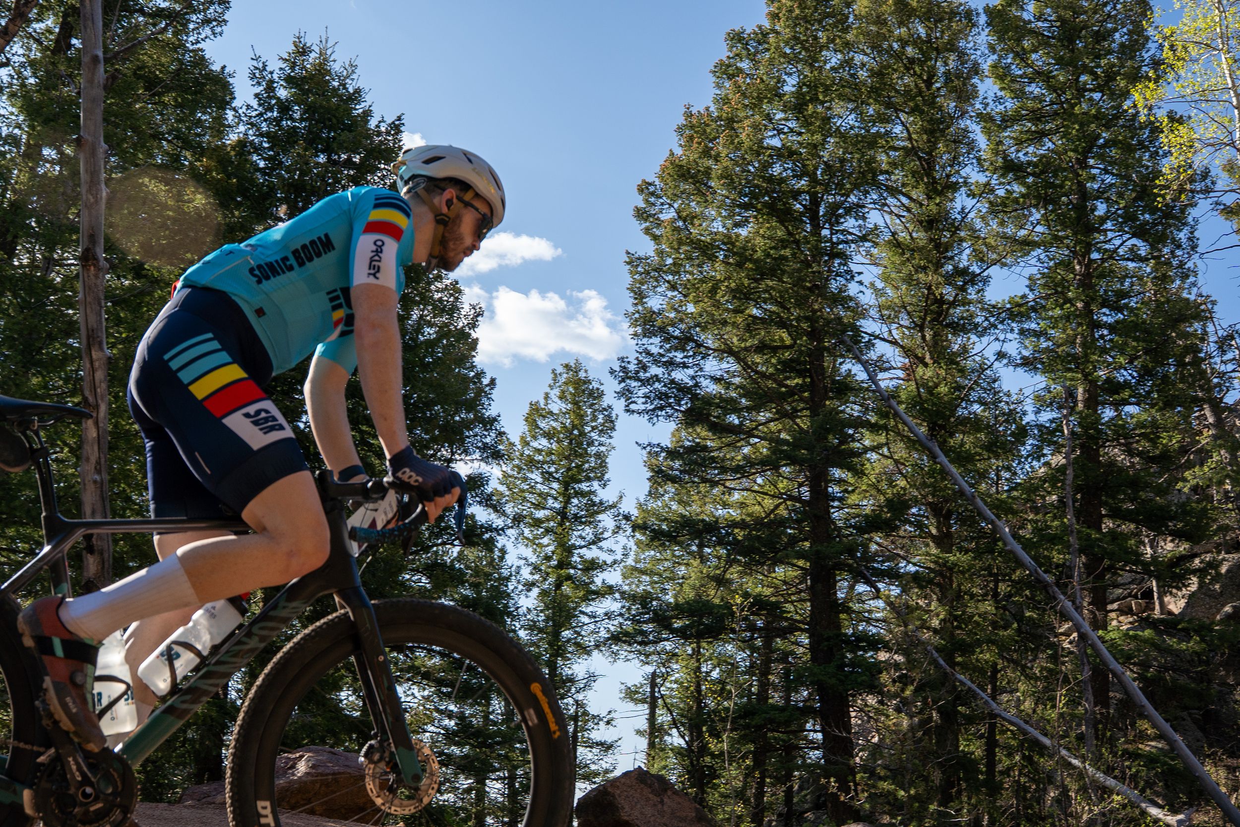 Cyclist in bright blue jersey rides mountain bike through scenic forest trail on sunny day with tall pine trees.