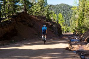 Mountain bikers ride through a winding forest trail on a sunny day beneath tall pine trees in a scenic wilderness setting.