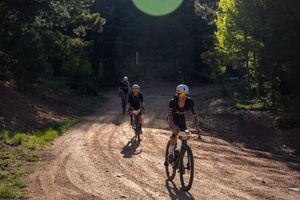 Mountain bikers navigate a steep dirt trail through a shaded forest on a sunny day.