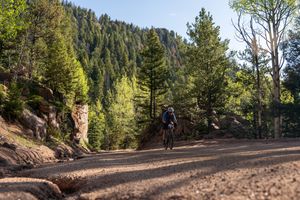 A mountain biker rides along a dirt trail surrounded by evergreen trees and rocky terrain in a forested landscape.