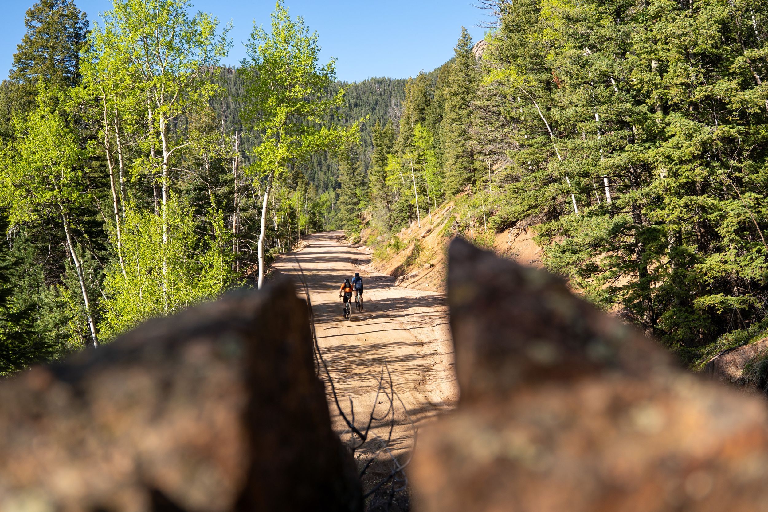 A scenic mountain trail path viewed between rocks with evergreen trees and aspen groves lining the hiking route.