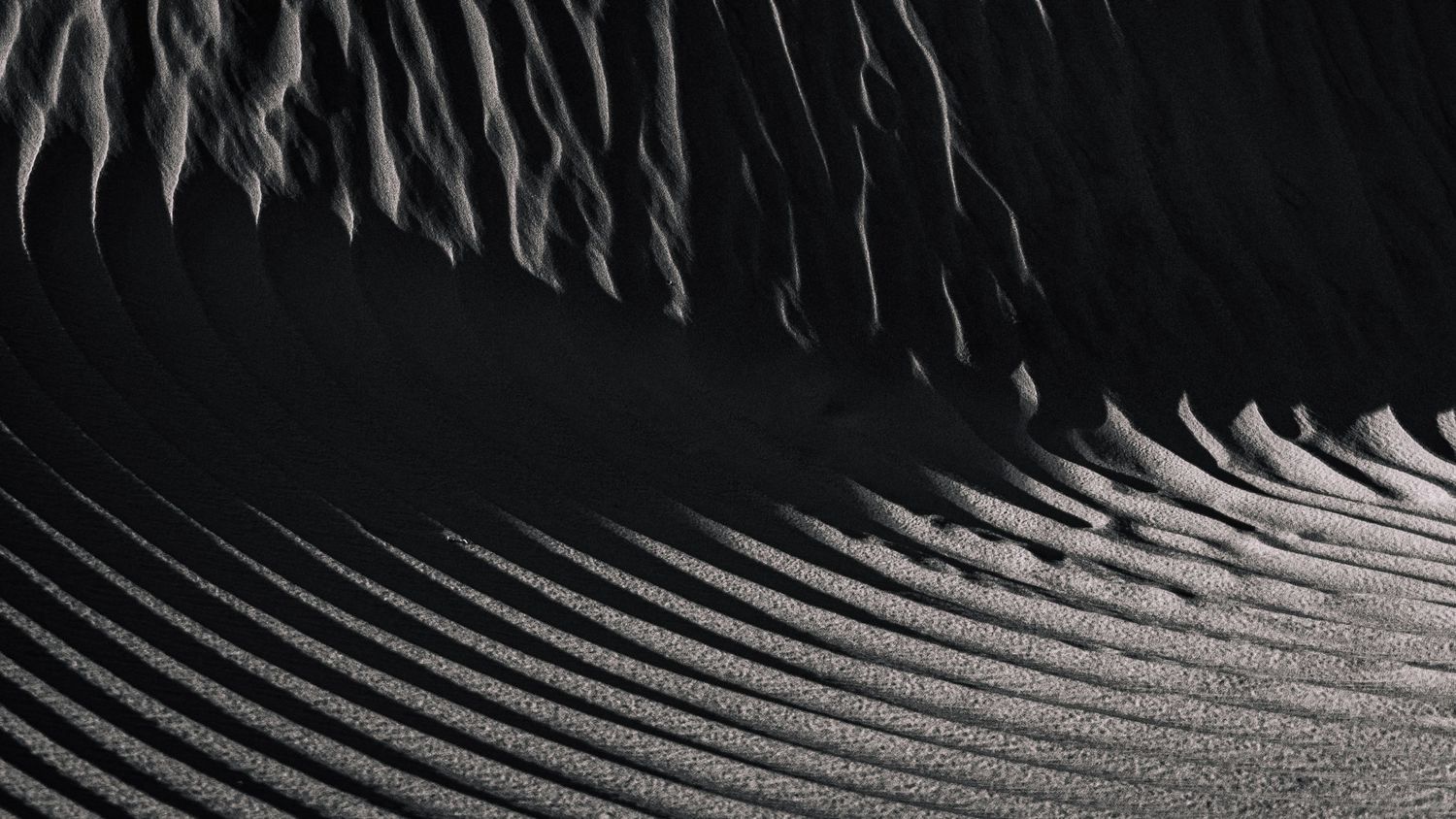 Black-and-white close-up of rippling sand dunes showing intricate wave-like patterns and textures in desert landscape.