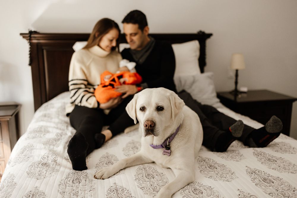 Parents smiling with their newborn baby in San Jose with their dog on the bed