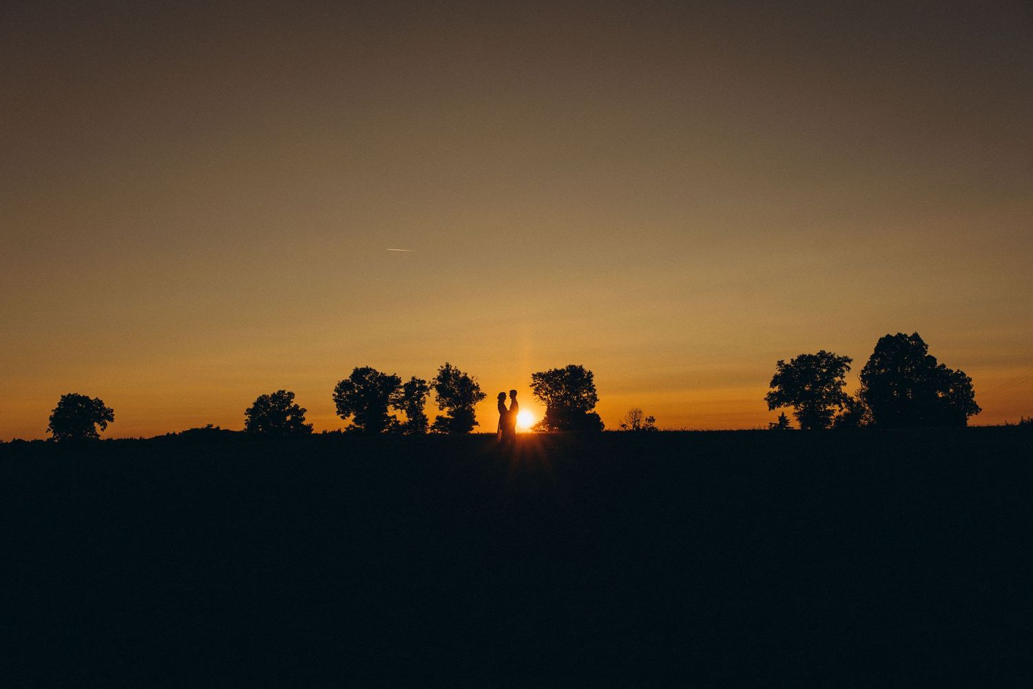 A dramatic sunset silhouette of trees against an orange sky.