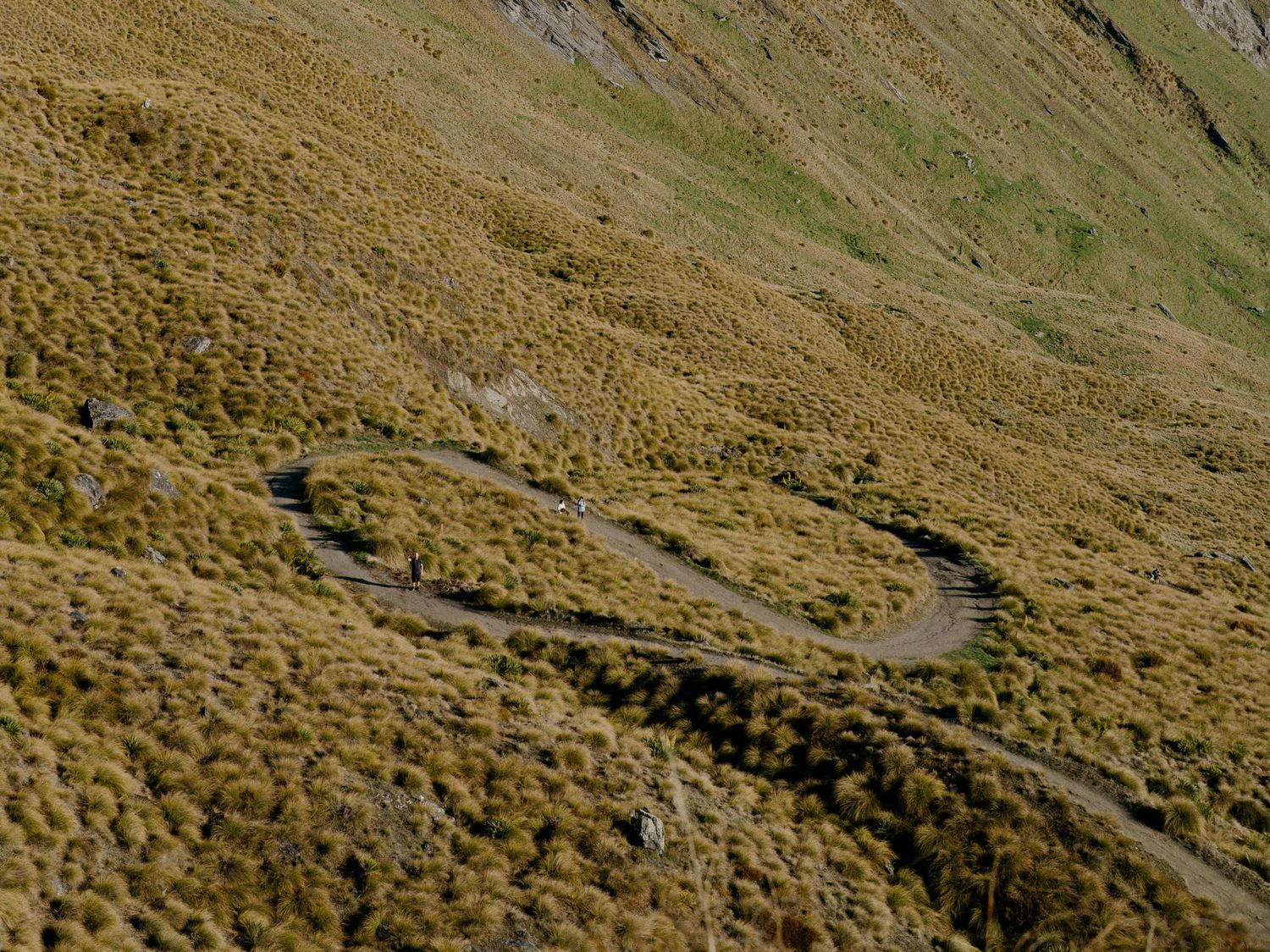 Winding dirt road cutting through golden grassland on a mountainside.