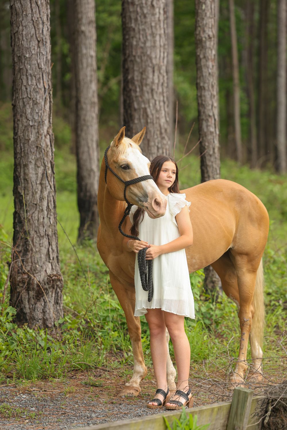 Young girl in white dress standing with a palomino horse in a pine forest setting.