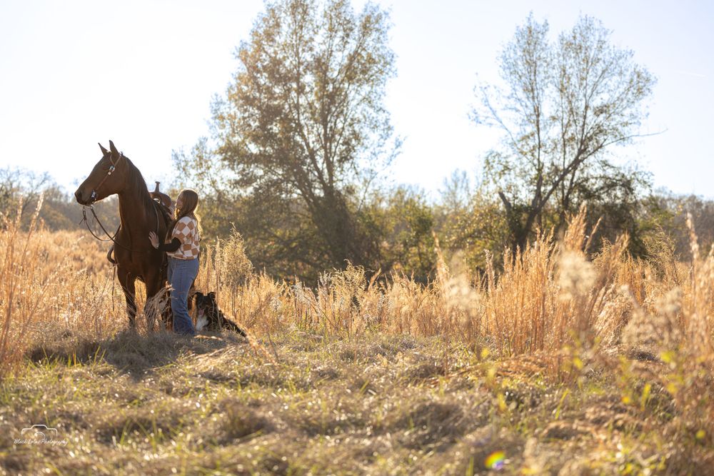 A horse and rider in tall golden grass at sunset with trees silhouetted in the background.