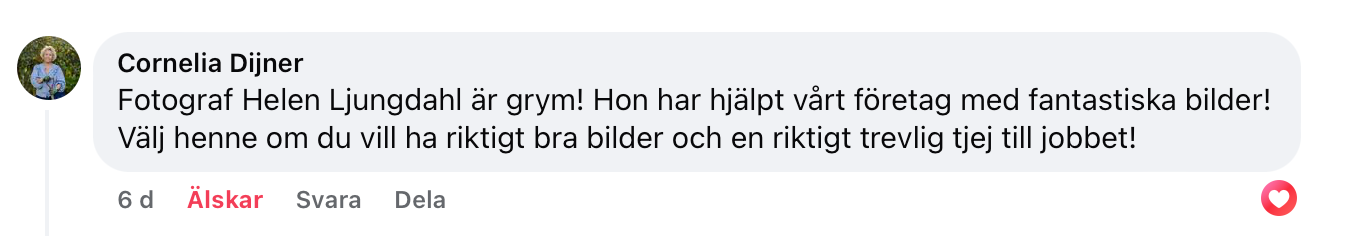 Facebook comment in Swedish discussing liking a photo.