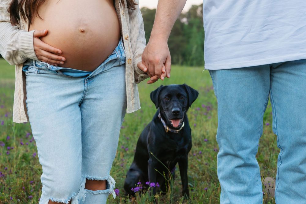 Maternity session at sunset  with their dog and cutest tummy showing in Athens, GA - Lifestyle family photographer in Athens, GA.