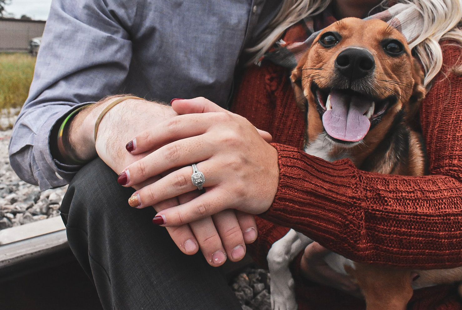 Engagement with Dog