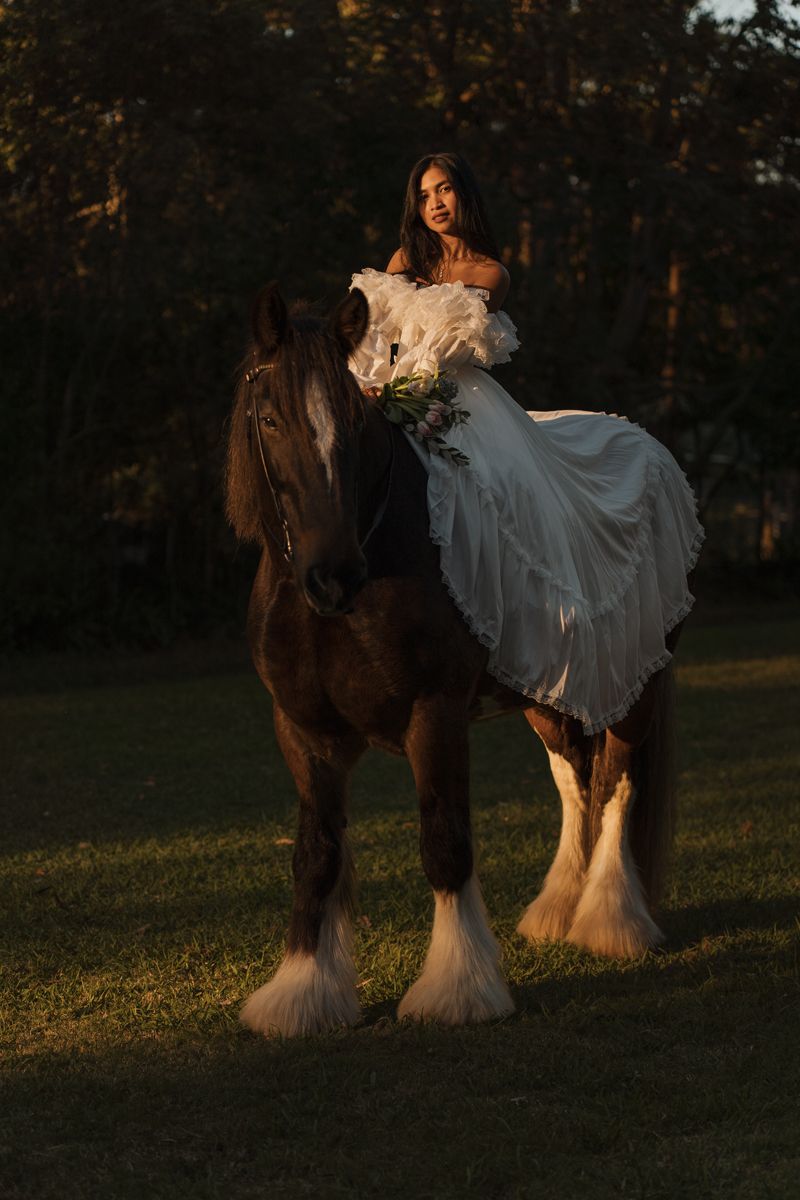 Bride in white gown sits atop a shire horse in a sunlit field during a photoshoot with a couple and a horse in sydney