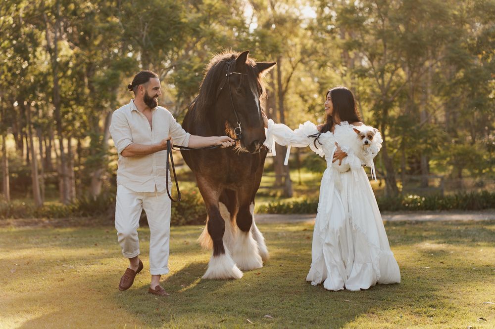 Couple in white attire walking with a large brown shire horse in a sunlit green park during a photoshoot with a couple and a horse