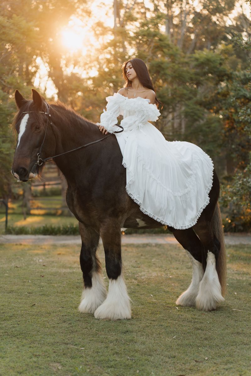 Woman in white gown riding a dark brown shire horse at golden sunset in a lush green forest setting in sydney photoshoot with a horse