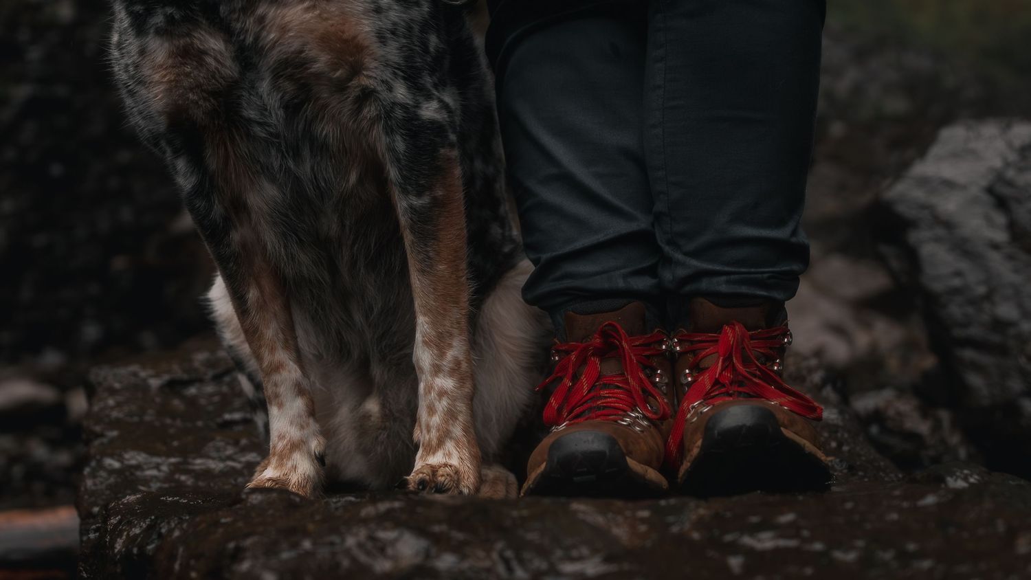 A woman stands next to her dog in hiking boots.